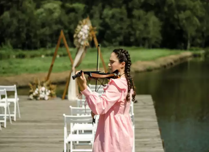 I will create and record electric violin arrangements for your song
