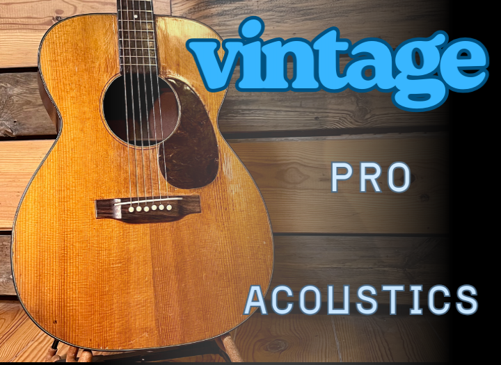Record Professional Acoustic Guitars