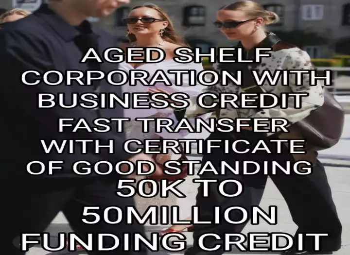 I will secure you 3 to 9 years aged shelf corporation with business credit and authorized tradelines