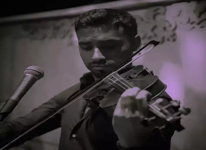 I will record professional violin tracks for your song