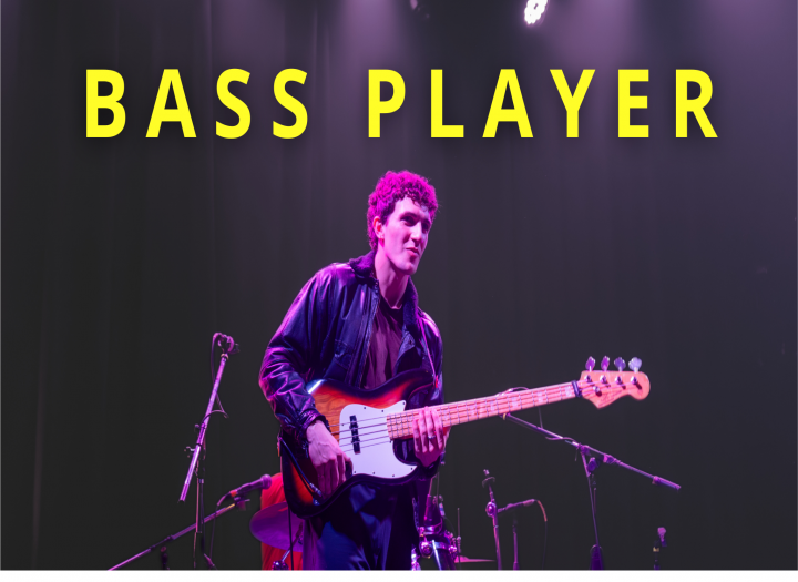 i will record a pro custom bass line for your song