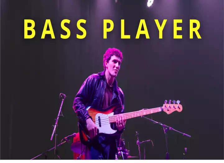 i will record a pro custom bass line for your song