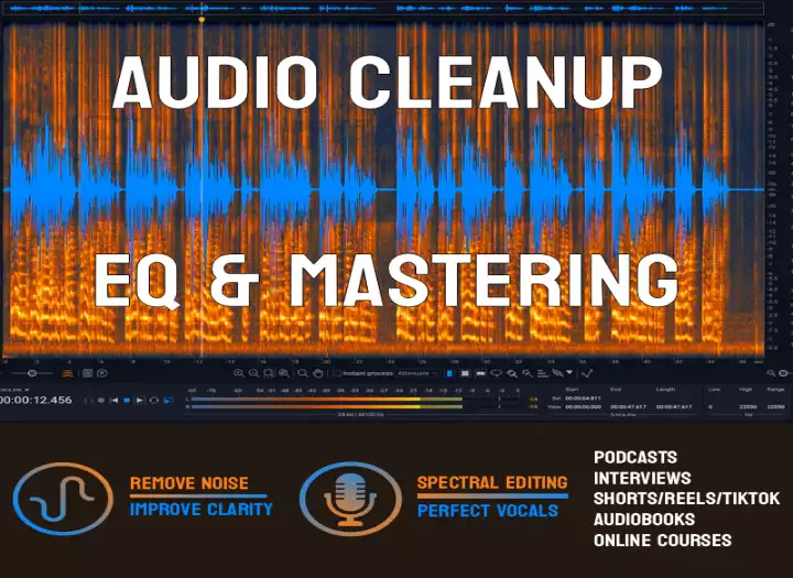 I will professionally edit, clean up, and master your podcast or video audio