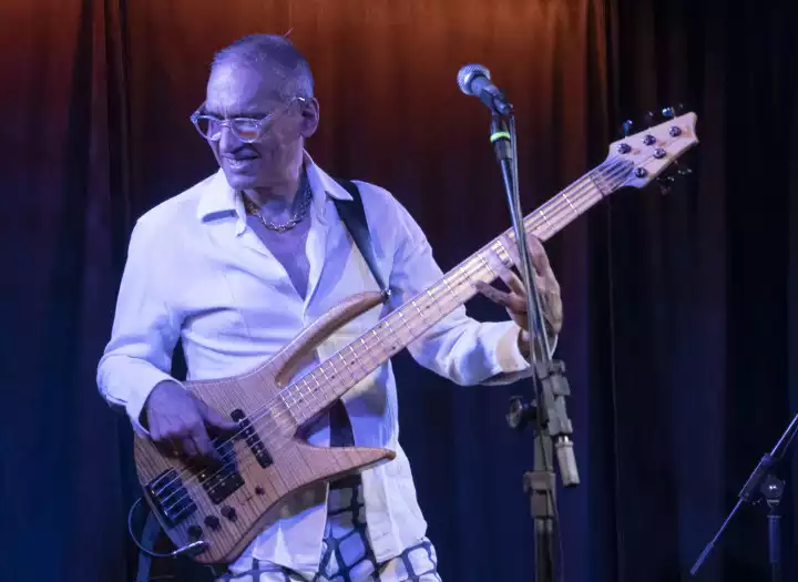 Bass player for recordings online