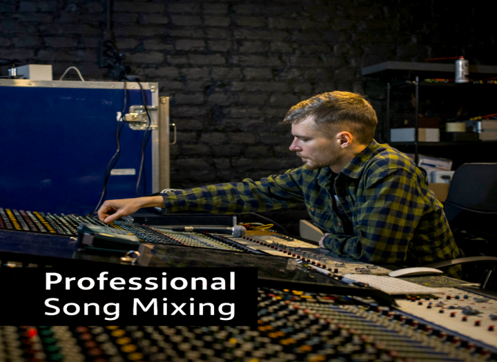 Professional Mix for Your Song