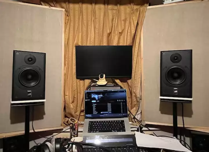 Pro Remote Bass Tracks: Warm Flats, Punchy Pick & Fingerstyle (High-End Analog Gear)