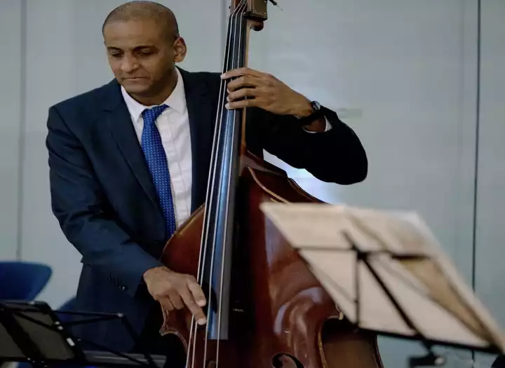 Professional Double Bass Recording — Arco & Pizzicato, 48hr Delivery