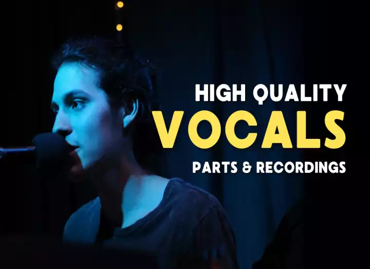 Professional Lead & Backing Vocals for Your Songs ⭐