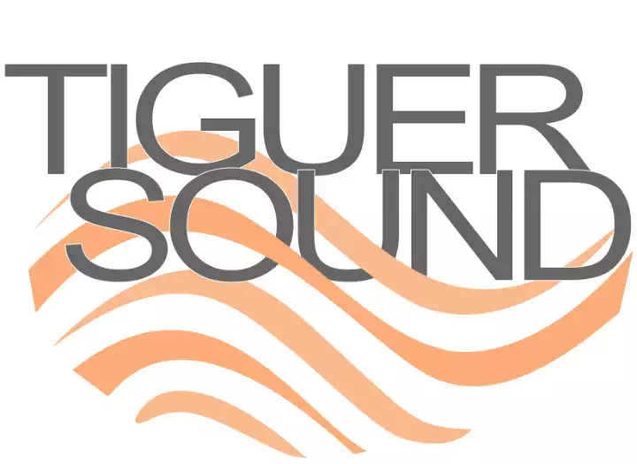 Audio editing, drum replacement, vocal editing and tuning.