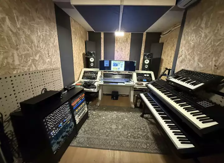 Professional Hybrid Analog Mixing