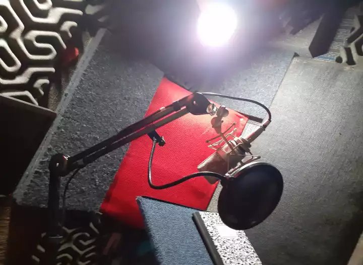 Dubbing, Voiceover, Voice Acting