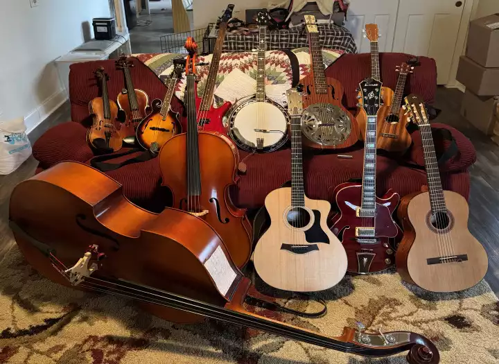 Acoustic Guitar, Violin/Viola, upright Bass, electric Bass, mandolin, ukulele