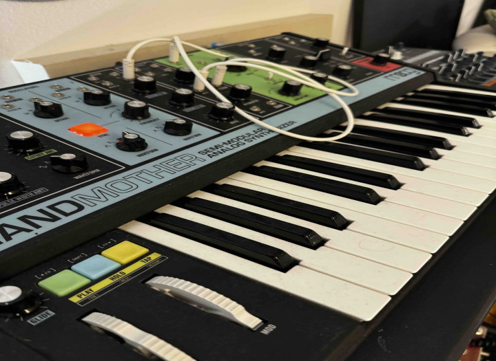 I will record tasteful analog synth, bass & rhythmic parts for your track