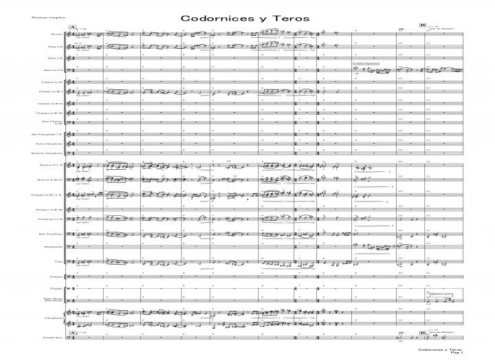Professional Composition & Arrangements for Symphonic / Concert Band