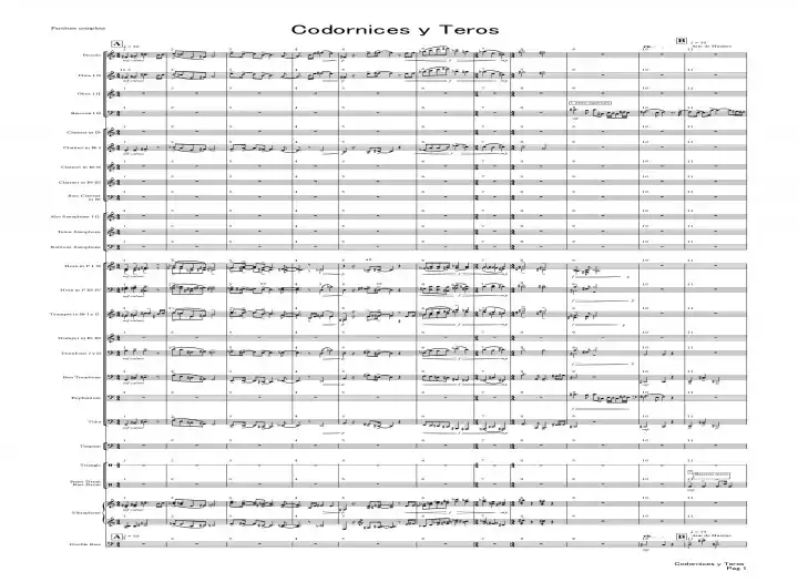 Professional Composition & Arrangements for Symphonic / Concert Band