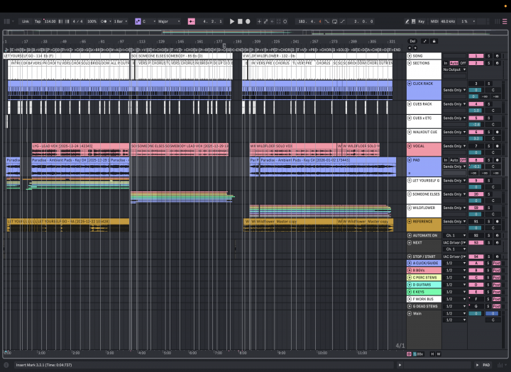 PROFESSION ABLETON PLAYBACK SESSION WITH FREE $200 TEMPLATE INCLUDED
