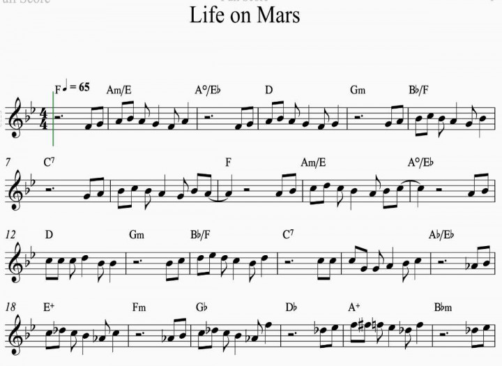 Professional Music Transcription • All Instruments