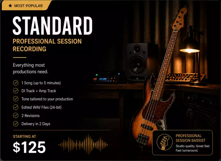STANDARD PACKAGE - Professional Session Recording