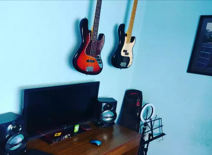 I will record professional session bass guitar for your song