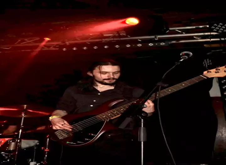 Session Bassist Electric & Upright