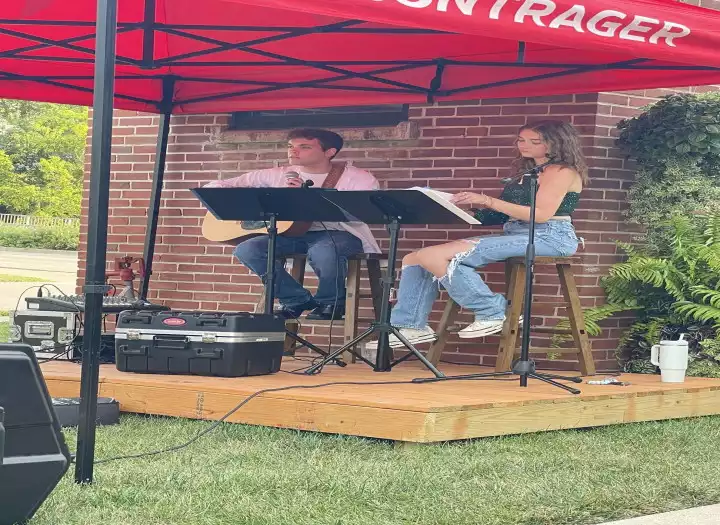 Professional Guitarist