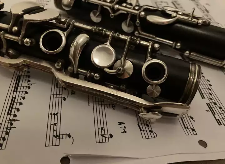 Record professional Clarinet, Saxophon, Flute, Bassclarinet for your project.