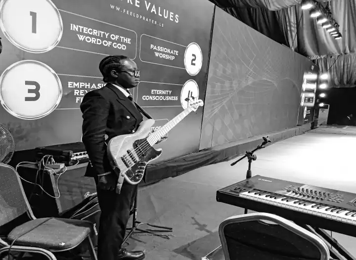 professional bass player