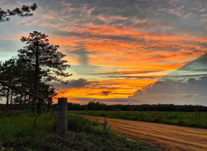 Provide music and vocal for song. A I