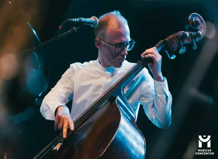 Professional Upright Bass Recording