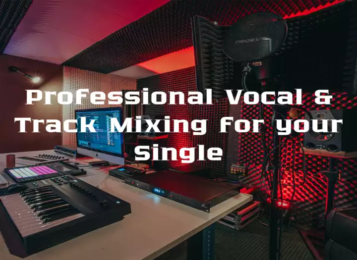 Professional Vocal & Track Mixing for your Single