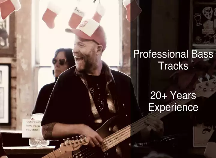 I will record professional bass tracks for your song