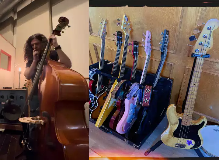 Bass (4, 5, 8, 12 string, Bass VI, fretless, or upright)