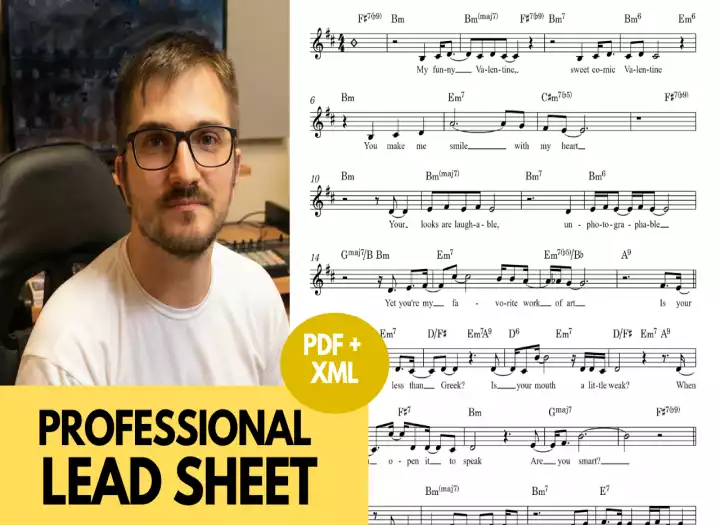 I will transcribe music into a professional lead sheet and sheet music chart