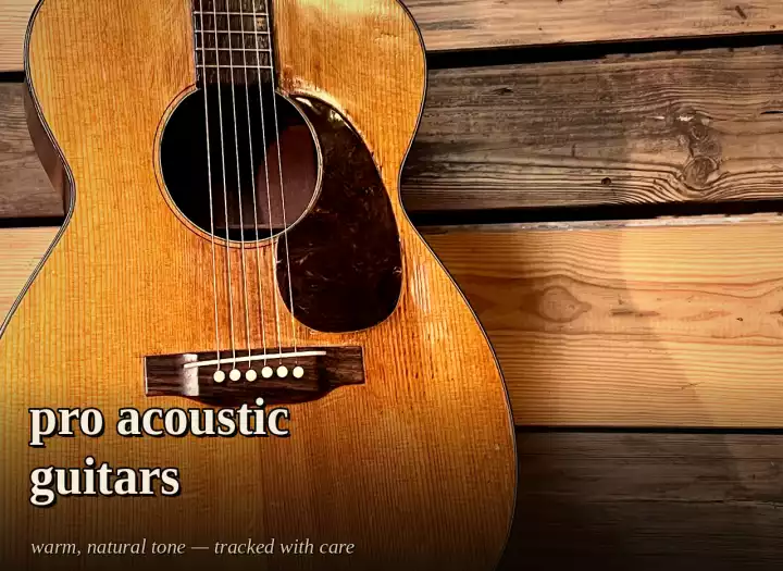 Record Professional Acoustic Guitars
