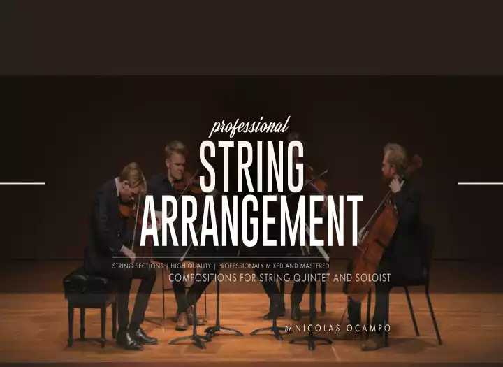 I will create a string arrangement or section for your song