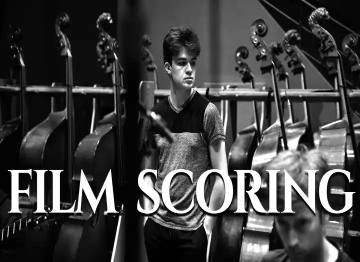 PROFESSIONNAL QUALITY FILM SCORING / ORCHESTRAL CINEMATIC STRINGS, FLUTIST, PIANIST, VIOLONIST, ELECTRONIC MUSIC