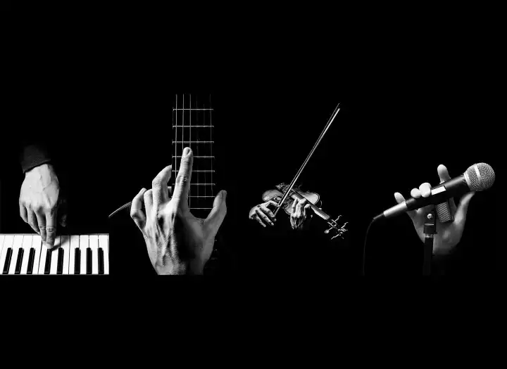 Any instrument recorded into your music.