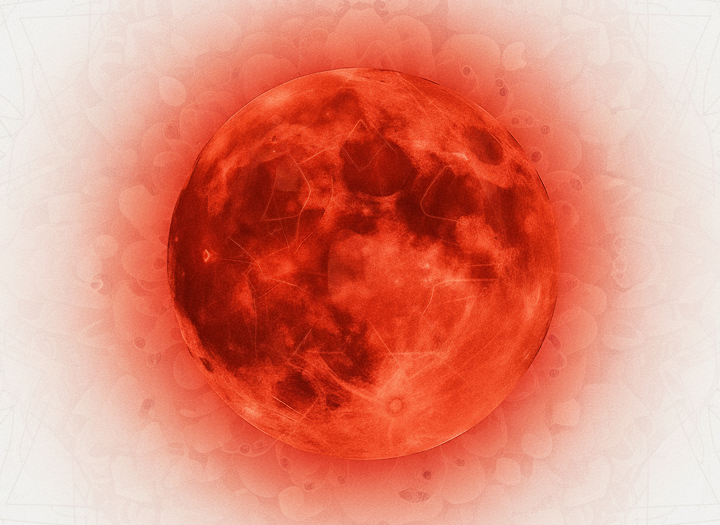 Custom Afrobeat, Chaabi & Spanish Guitar Production Red Moon Sound