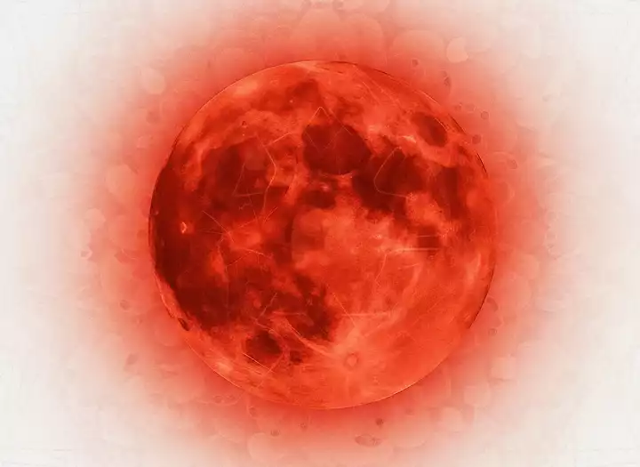 Custom Afrobeat, Chaabi & Spanish Guitar Production Red Moon Sound