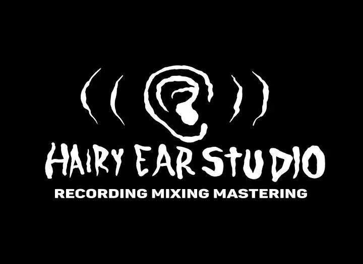 Mixing experimental, punk, noise rock, indie