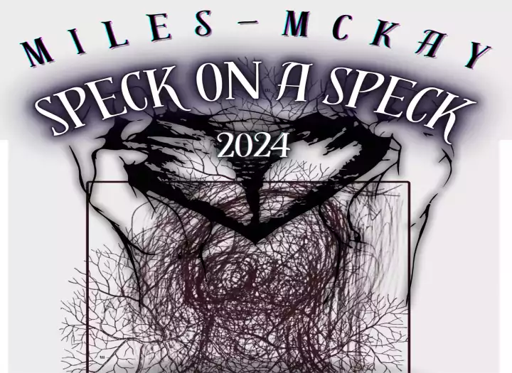 Lead guitarist / vocals / music editing / producer