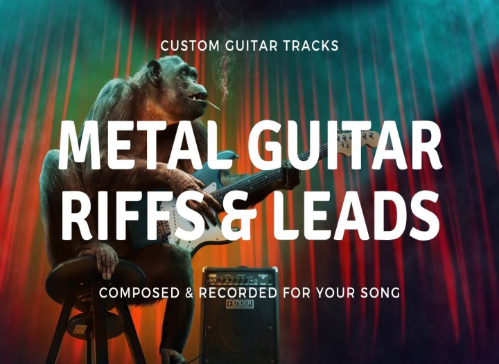 You will get custom guitar parts composed and recorded for your metal track
