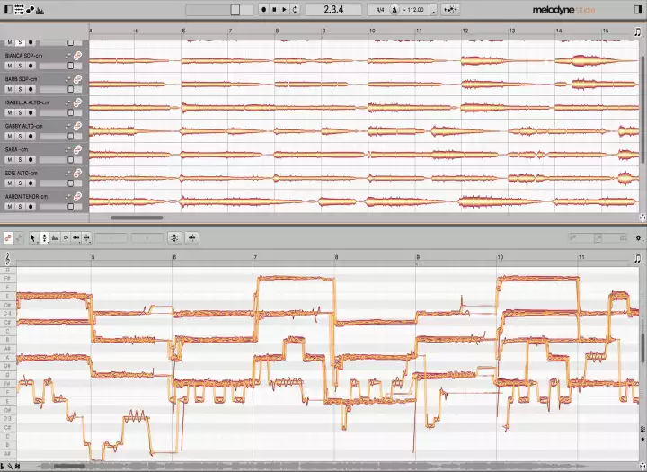 Vocal Production