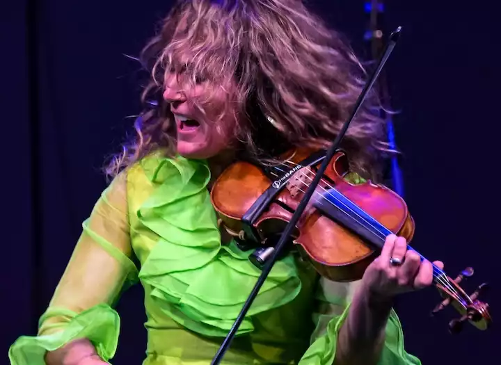 Violin/Fiddle/BG vox