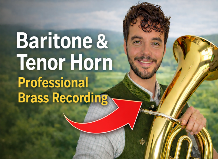 I will record professional baritone, tenor horn or trombone for your track