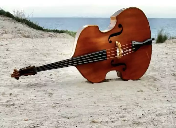 Proffesional recording of string quartet or quintet.