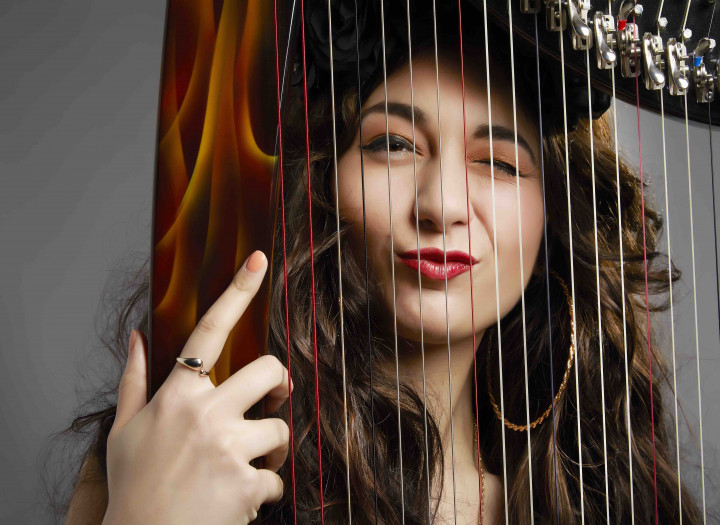 Expressive Electric Harp for Pop, Hip-Hop, Christian & Cinematic Music