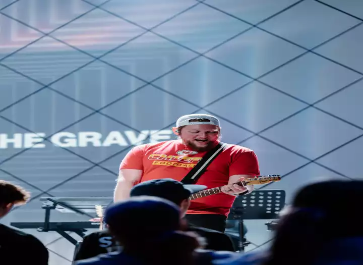 Professional level guitar