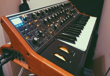 Get some MOOG on your track 