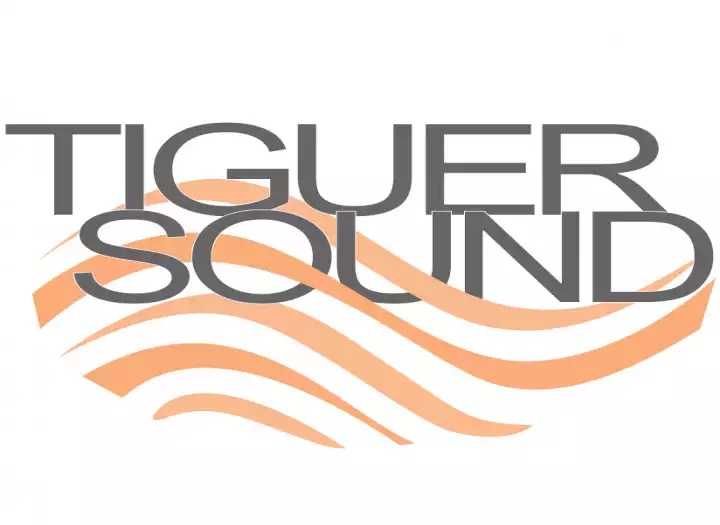 Audio editing, drum replacement, vocal editing and tuning.